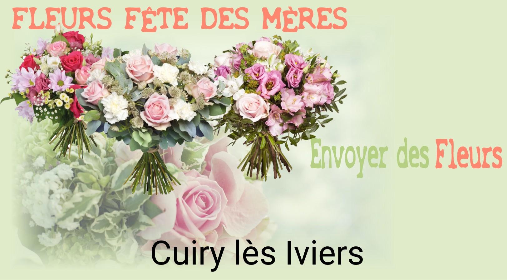 Bouquet de Fête des Mères livré à Cuiry-lès-Iviers